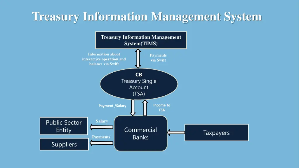 treasury information management system