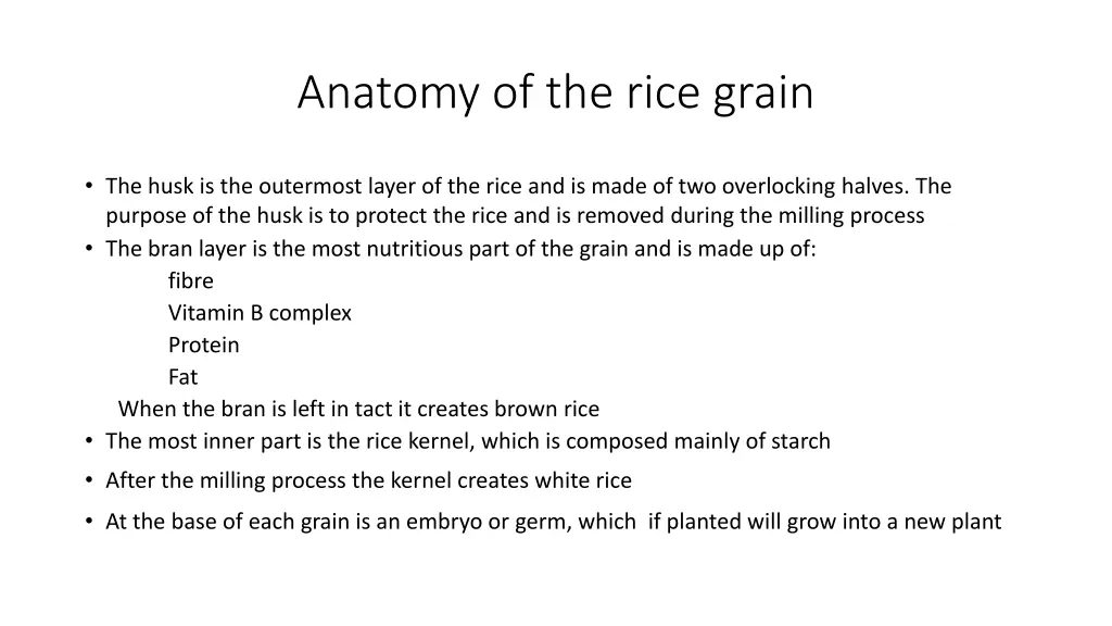anatomy of the rice grain 1