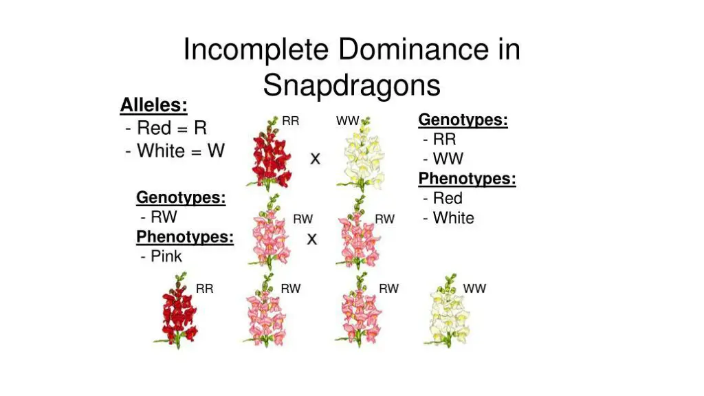slide6