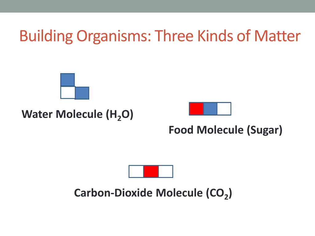 building organisms three kinds of matter