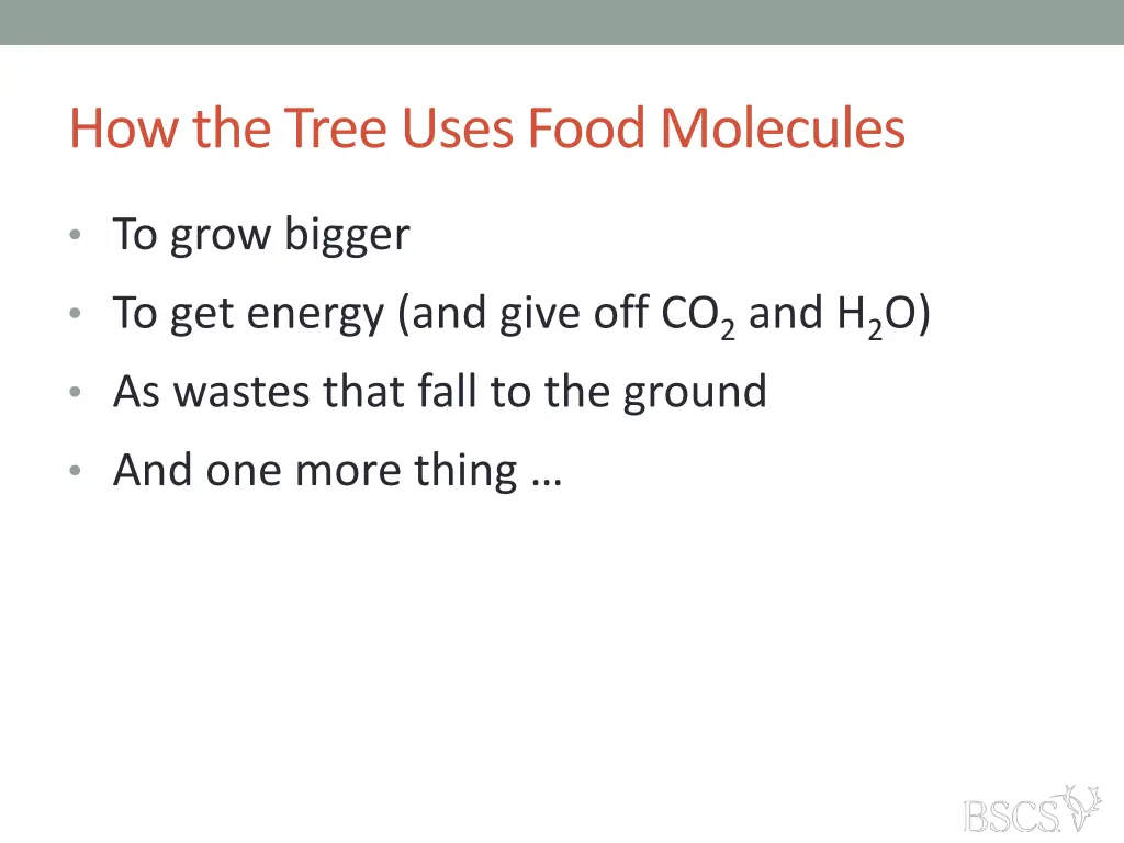 how the tree uses food molecules