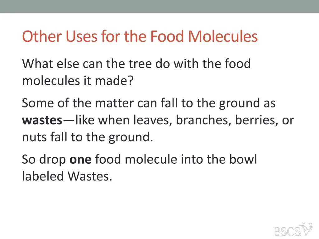 other uses for the food molecules 1