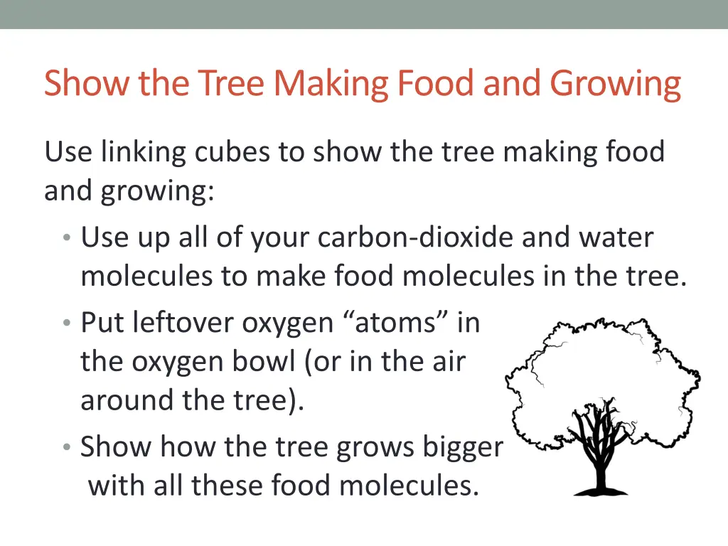 show the tree making food and growing