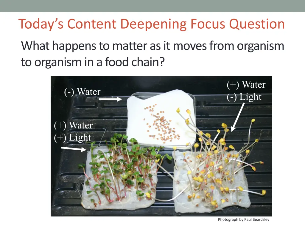 today s content deepening focus question