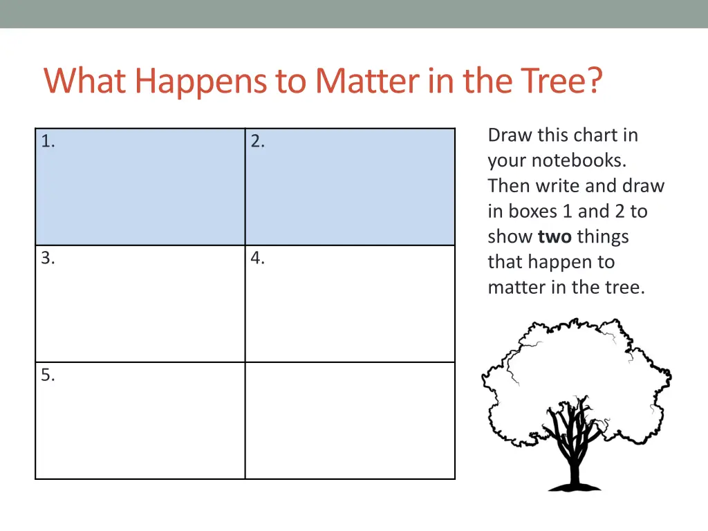 what happens to matter in the tree