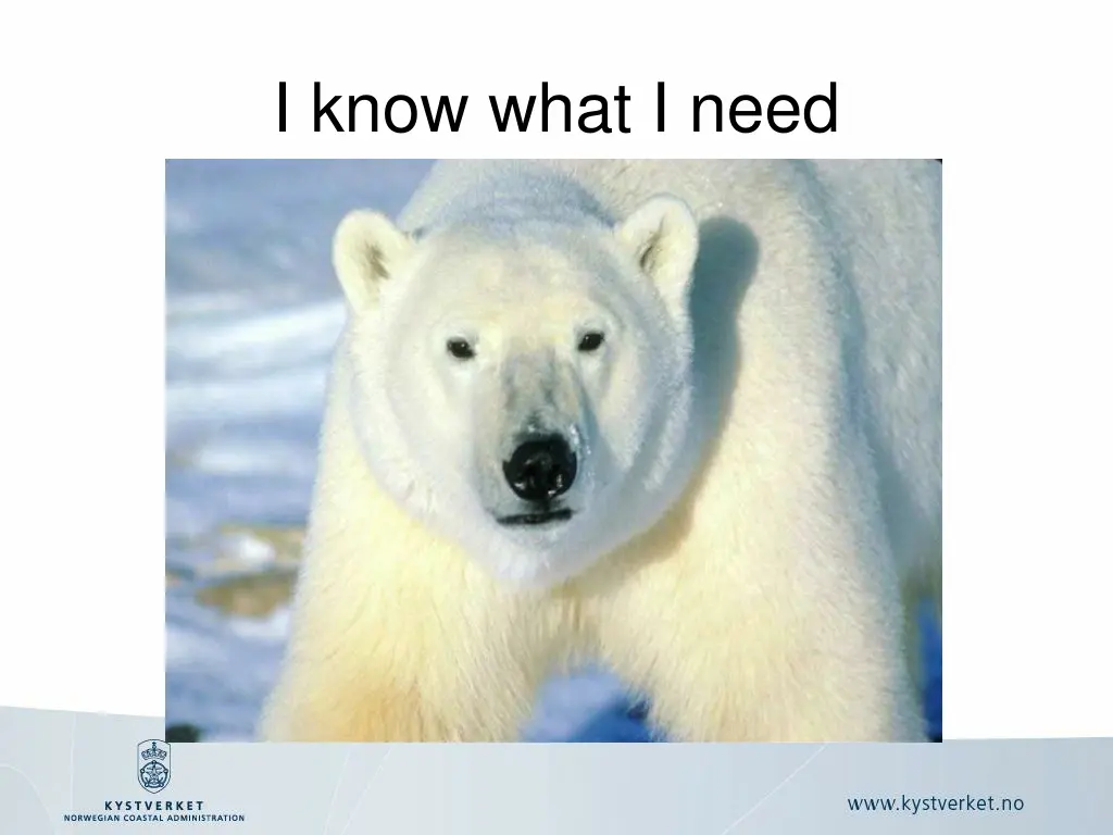i know what i need