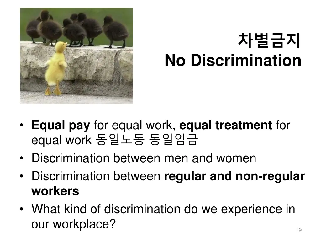 slide19