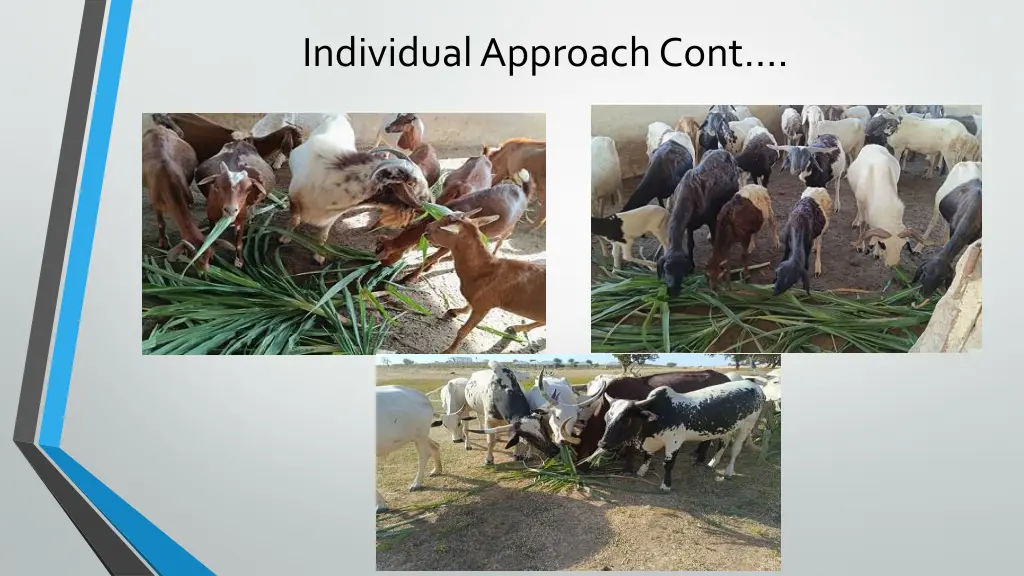 individual approach cont