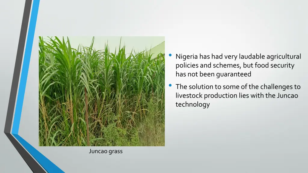 nigeria has had very laudable agricultural