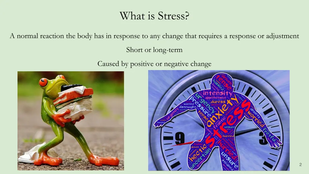 what is stress