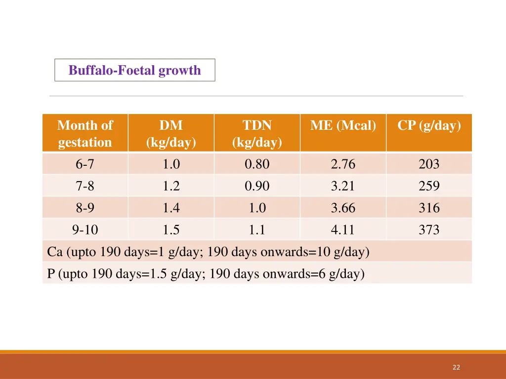 buffalo foetal growth