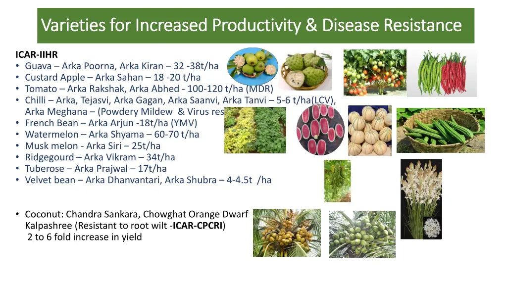 varieties for increased productivity disease