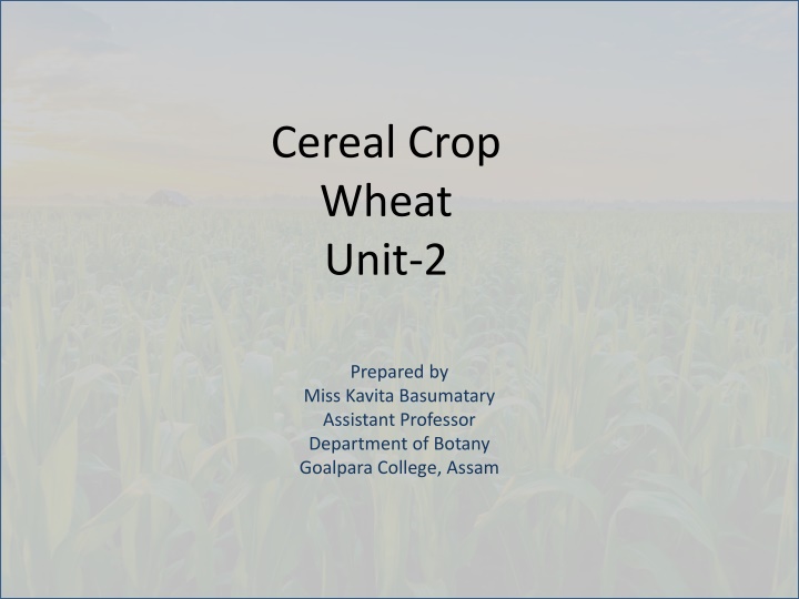 cereal crop wheat unit 2