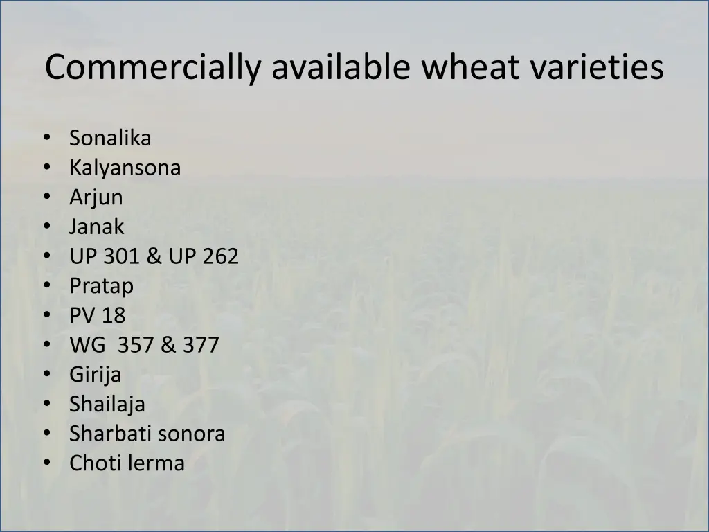 commercially available wheat varieties