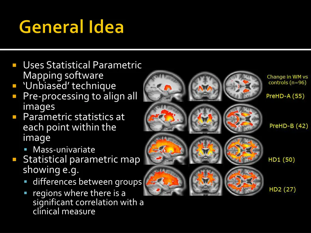uses statistical parametric mapping software
