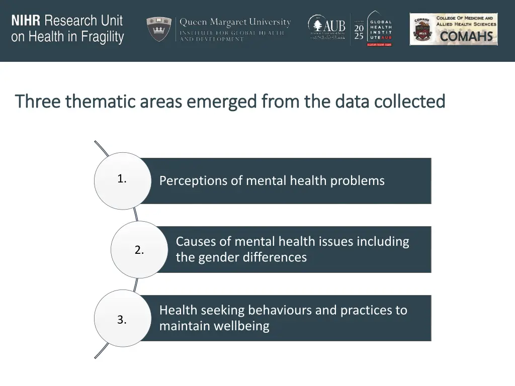 three three thematic areas emerged thematic areas