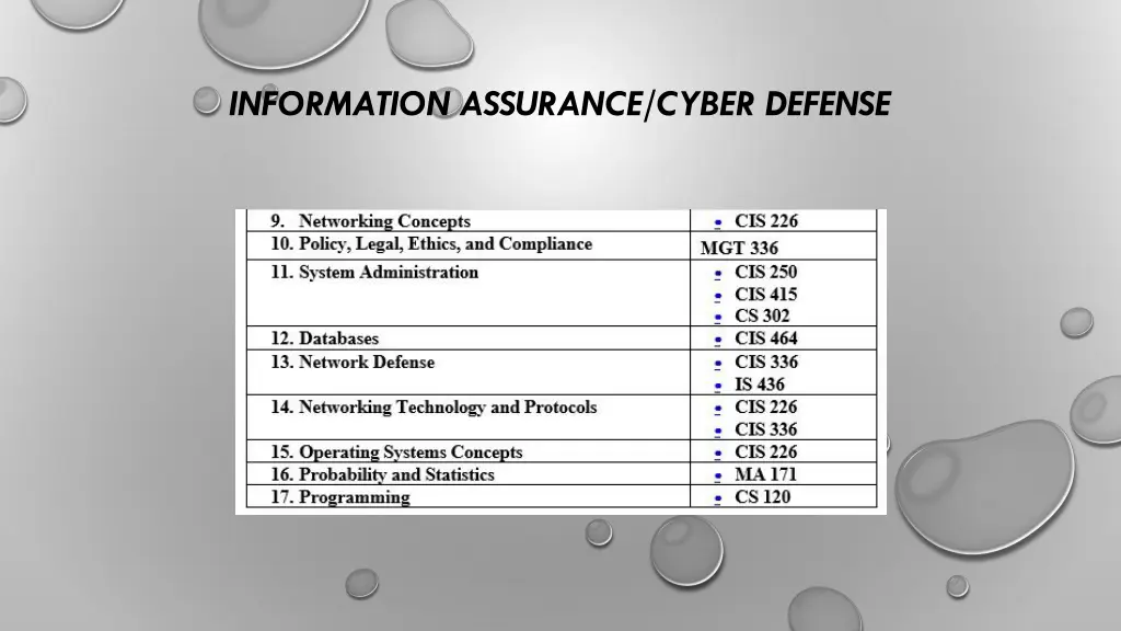information assurance cyber defense 19