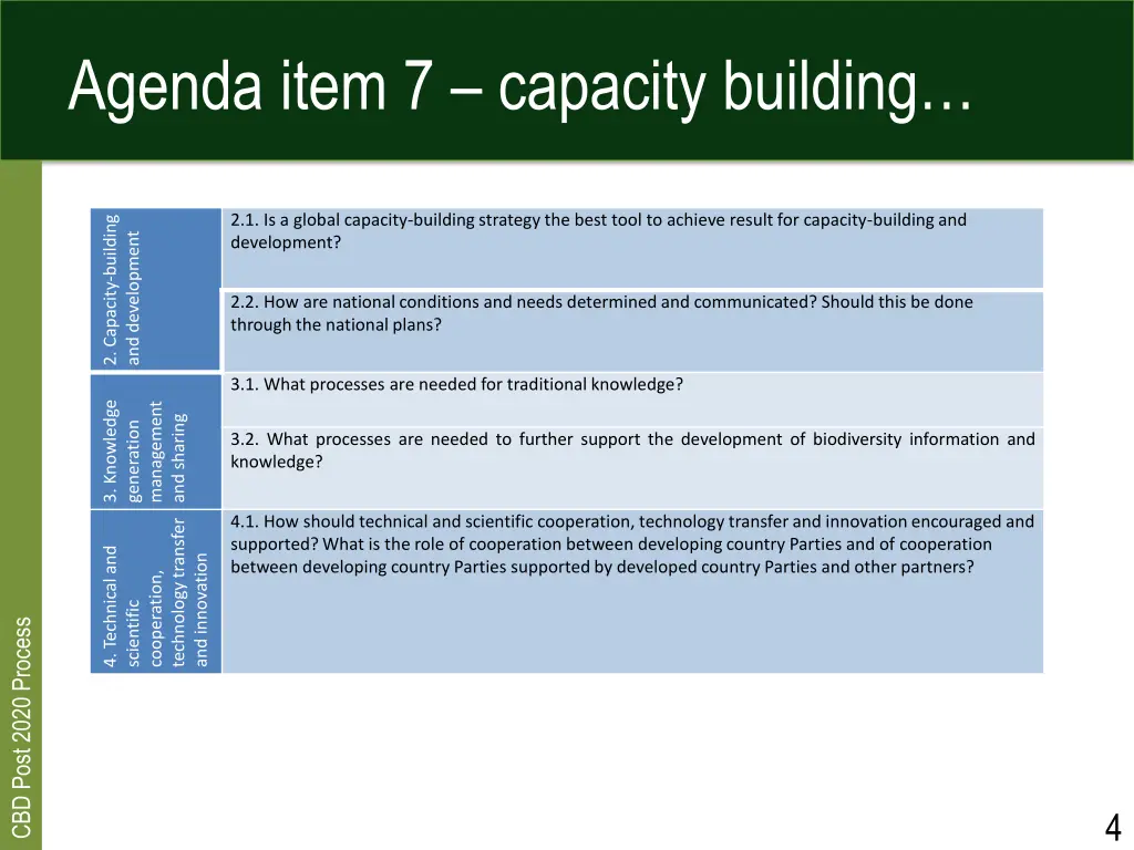 agenda item 7 capacity building
