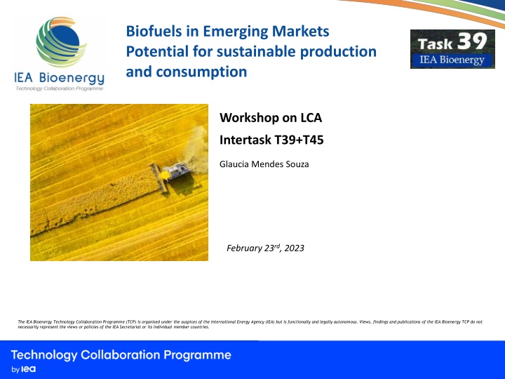 biofuels in emerging markets potential
