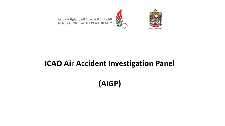 icao air accident investigation panel