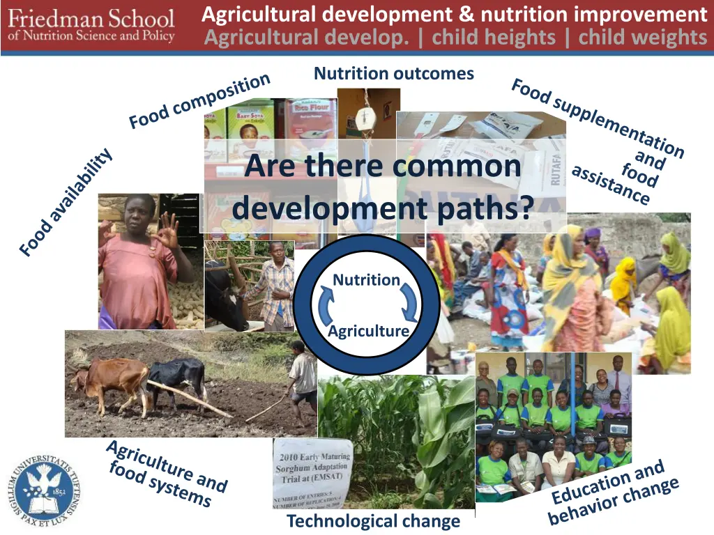 agricultural development nutrition improvement 1