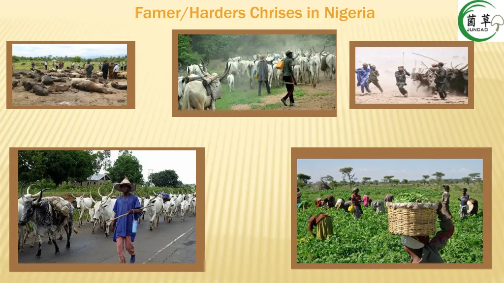 famer harders chrises in nigeria