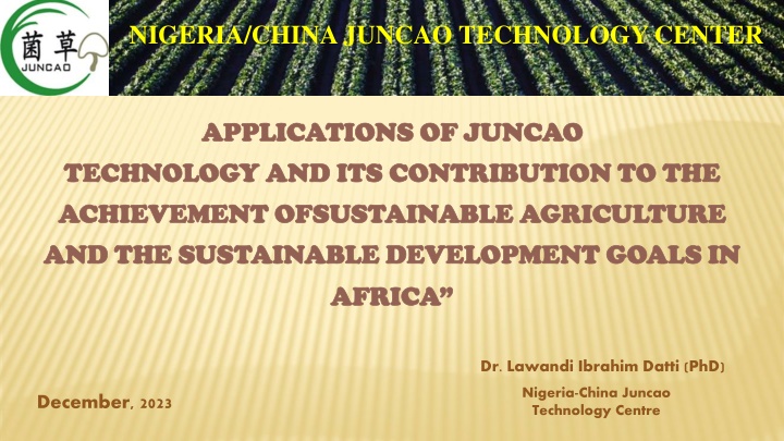 nigeria china juncao technology center