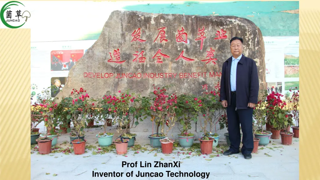 prof lin zhanxi inventor of juncao technology