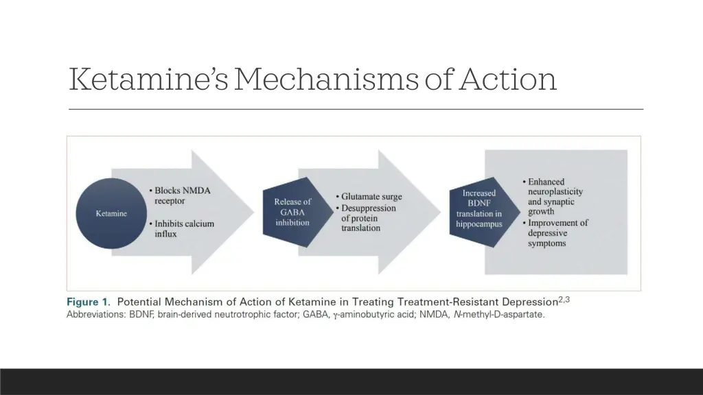 ketamine s mechanisms of action