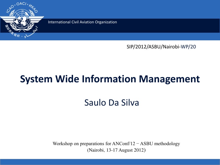 international civil aviation organization