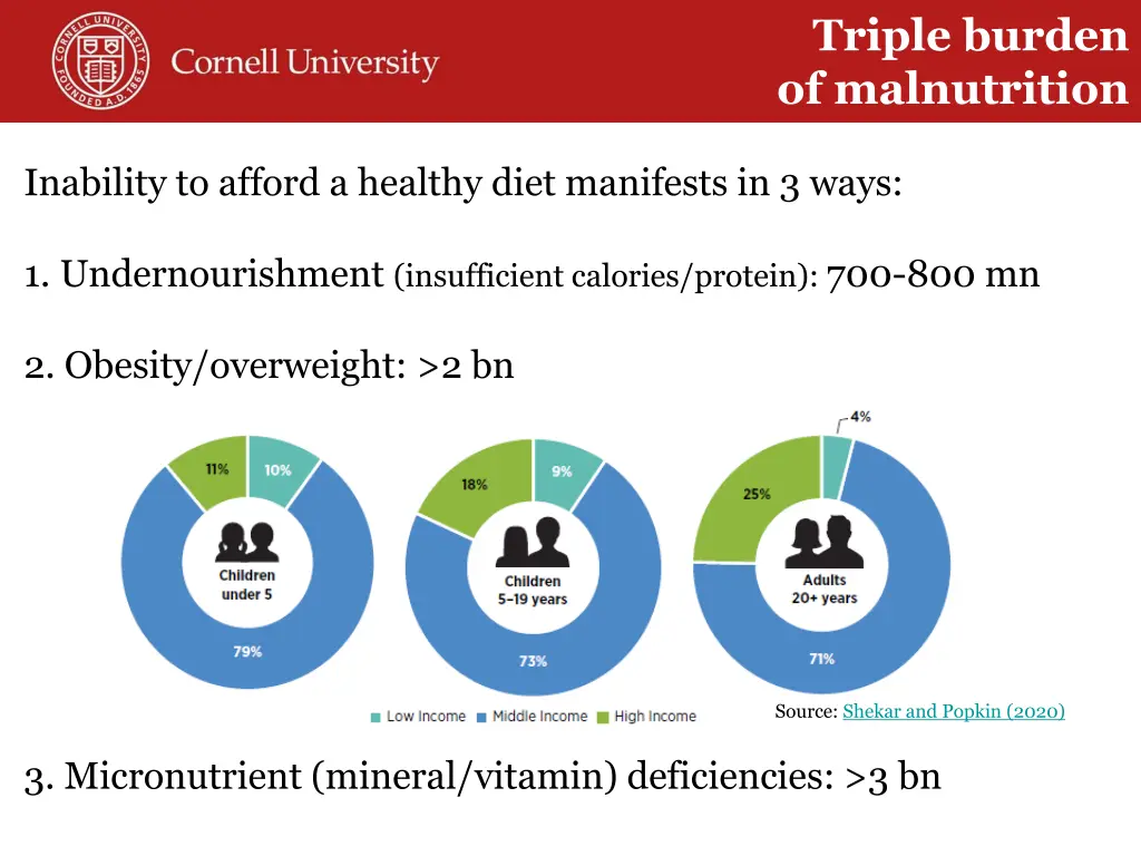 triple burden of malnutrition