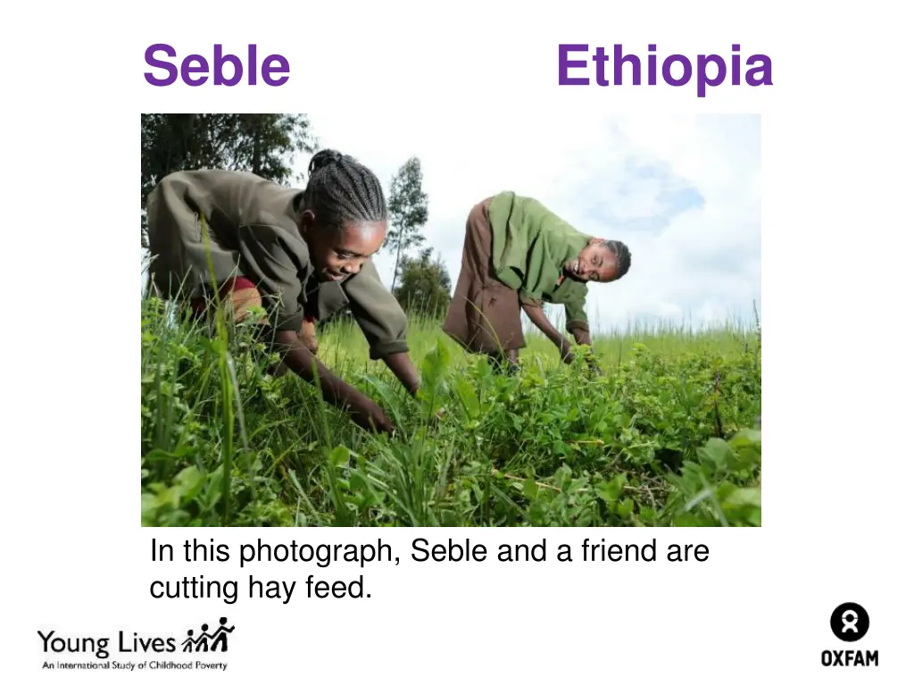 seble