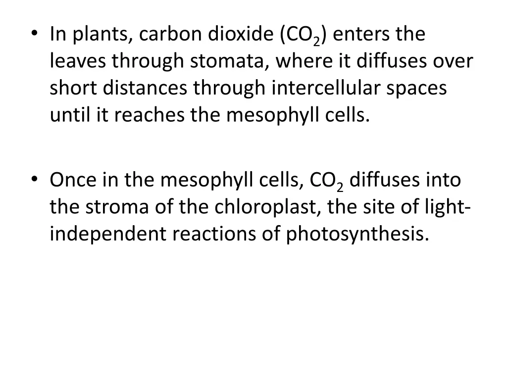 in plants carbon dioxide co 2 enters the leaves