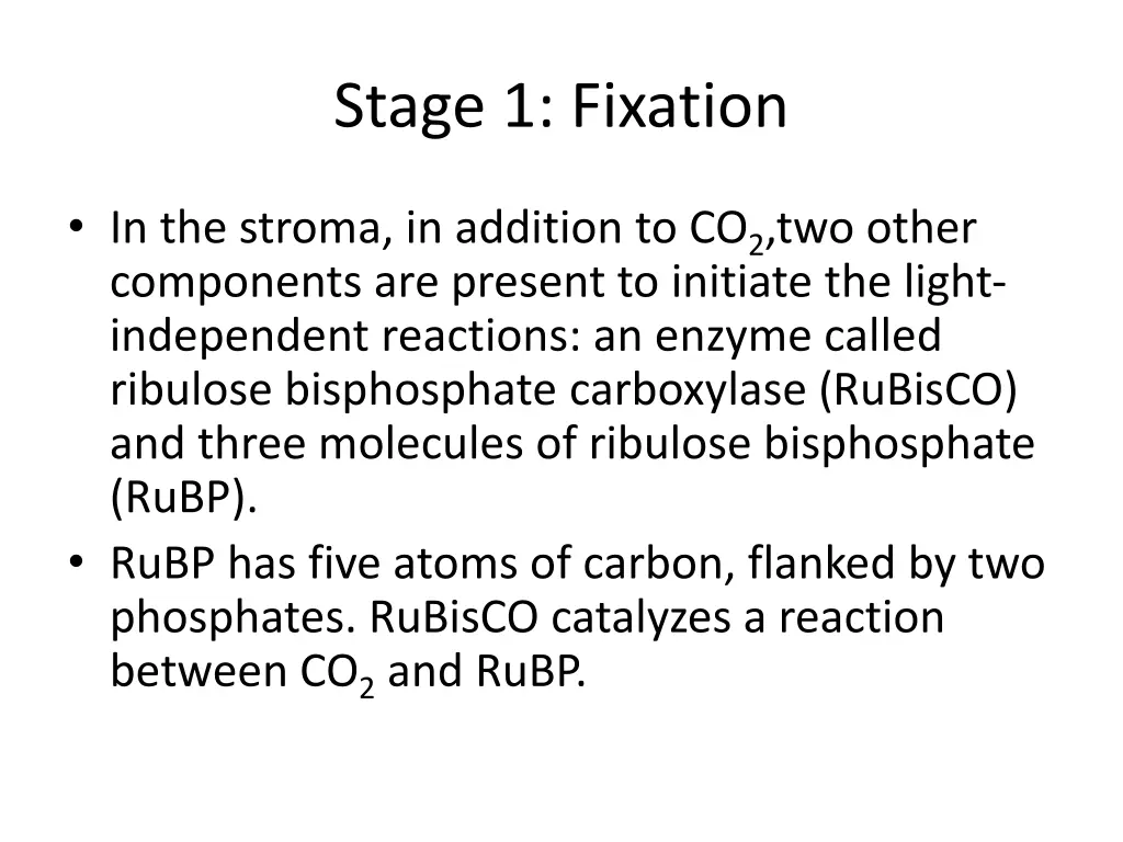 stage 1 fixation