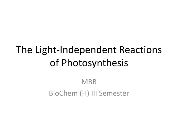 the light independent reactions of photosynthesis