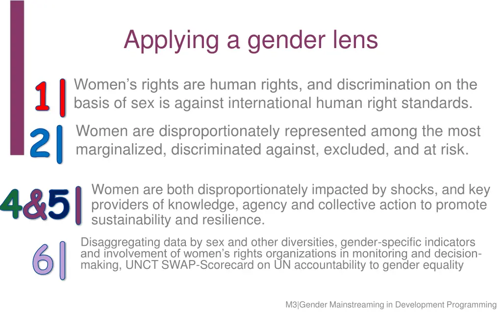 applying a gender lens