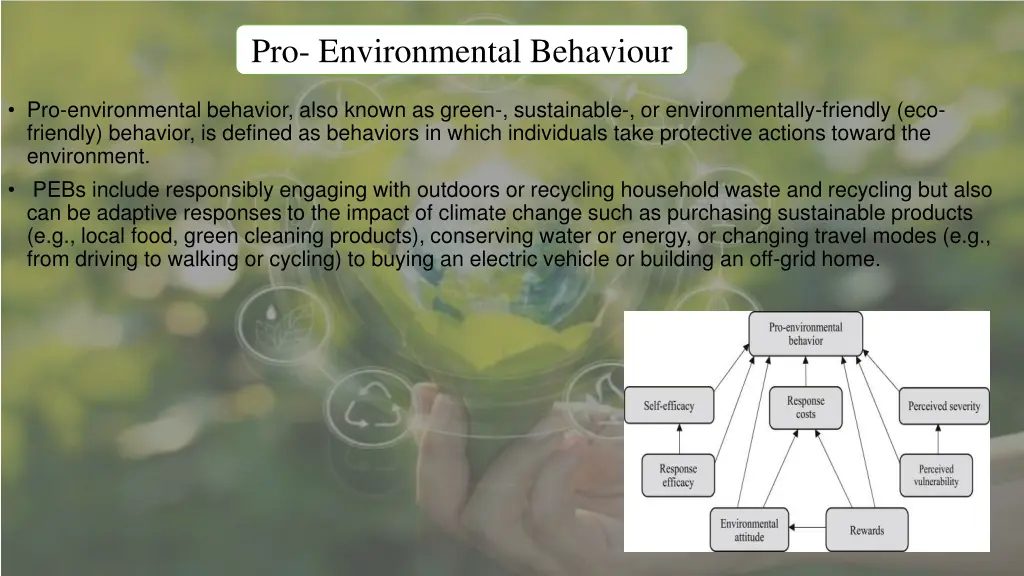 pro environmental behaviour