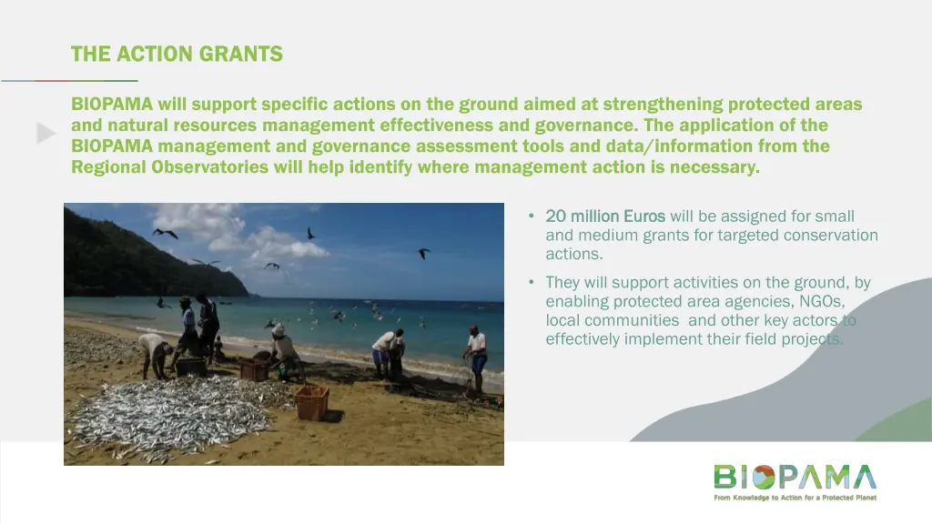 the action grants