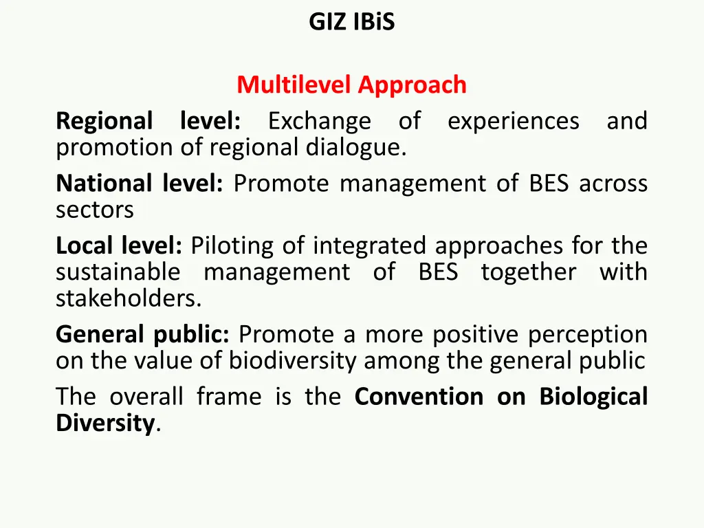 giz ibis 1