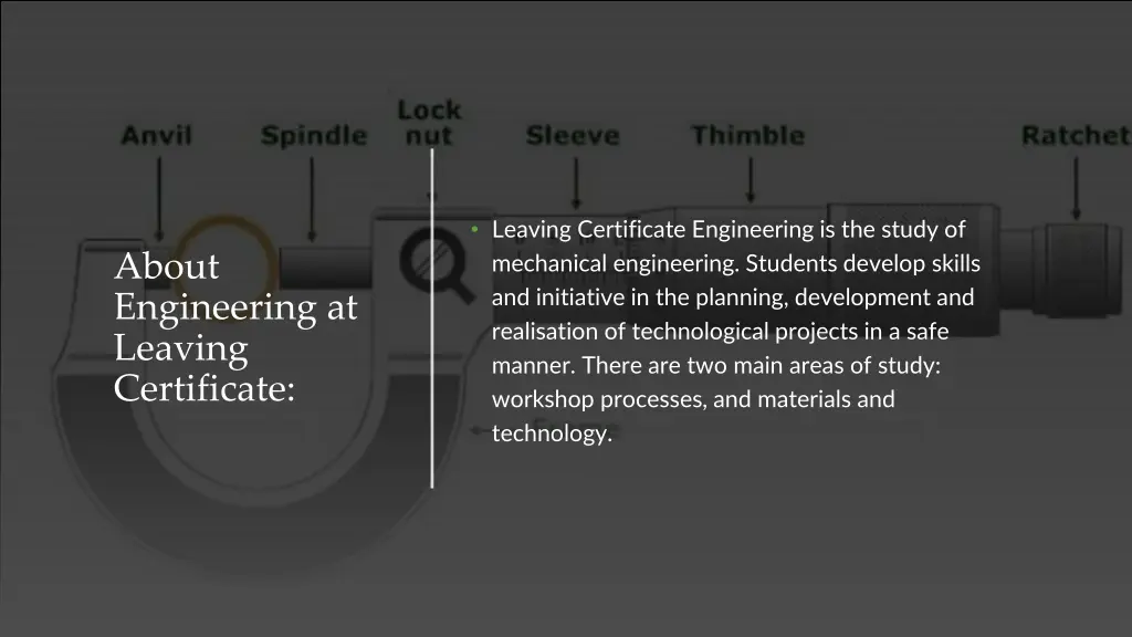 leaving certificate engineering is the study