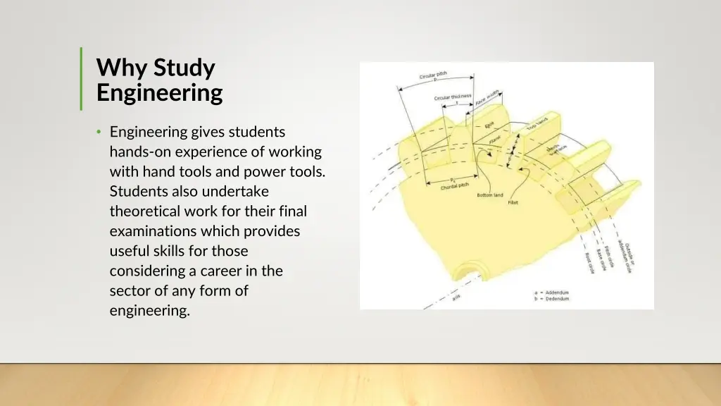 why study engineering