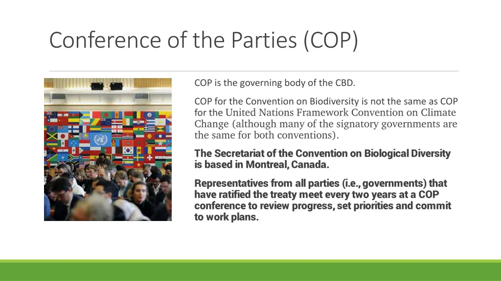 conference of the parties cop