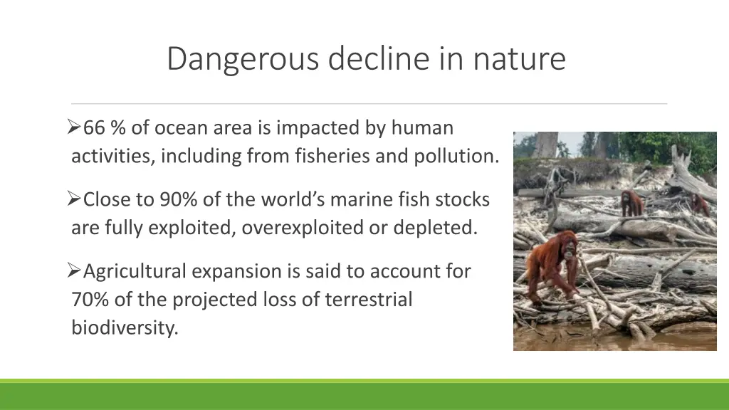 dangerous decline in nature 1