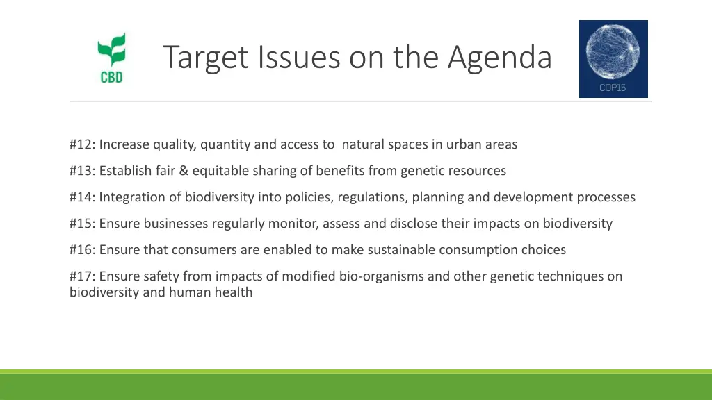 target issues on the agenda 2