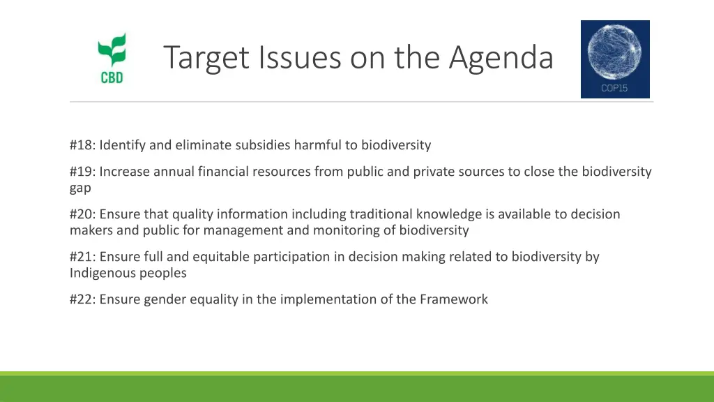 target issues on the agenda 3