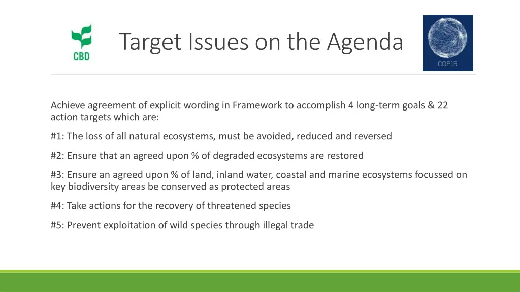 target issues on the agenda