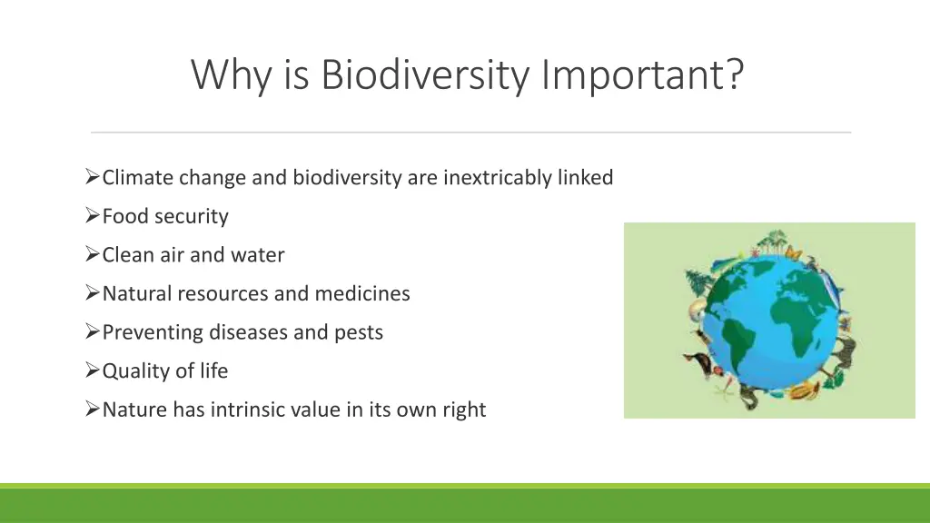why is biodiversity important