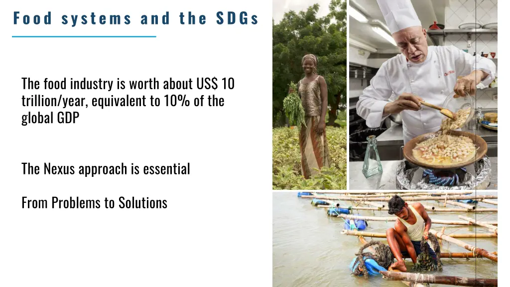food systems and the sdgs 1