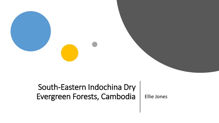 south south eastern indochina dry eastern