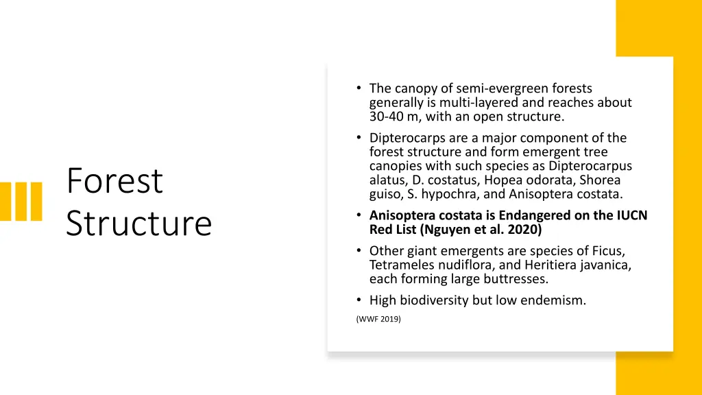 the canopy of semi evergreen forests generally